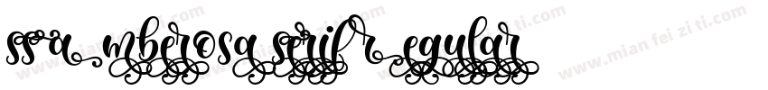 SS Amberosa Serif Regular字体转换